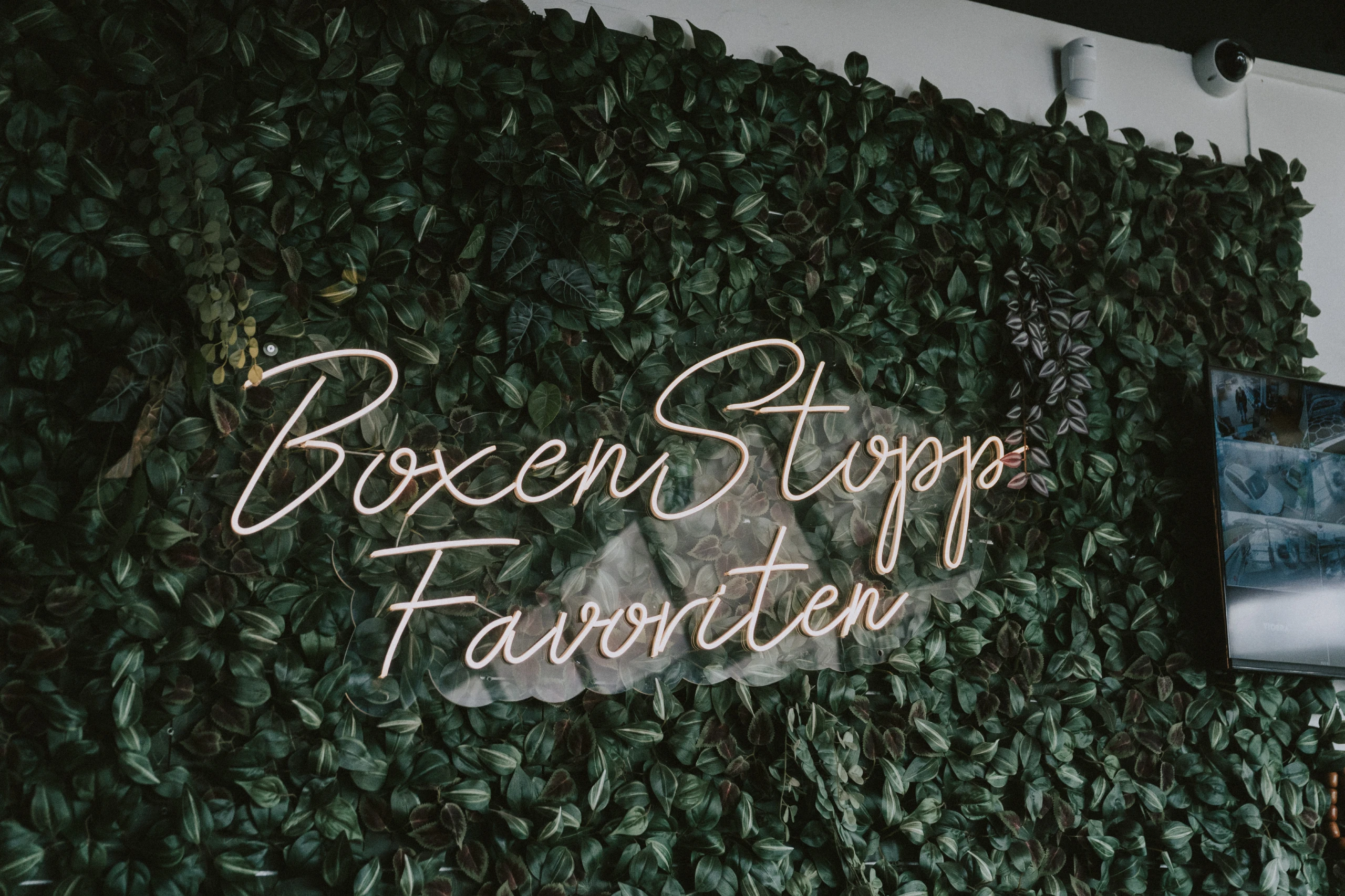 Boxenstopp-Favoriten